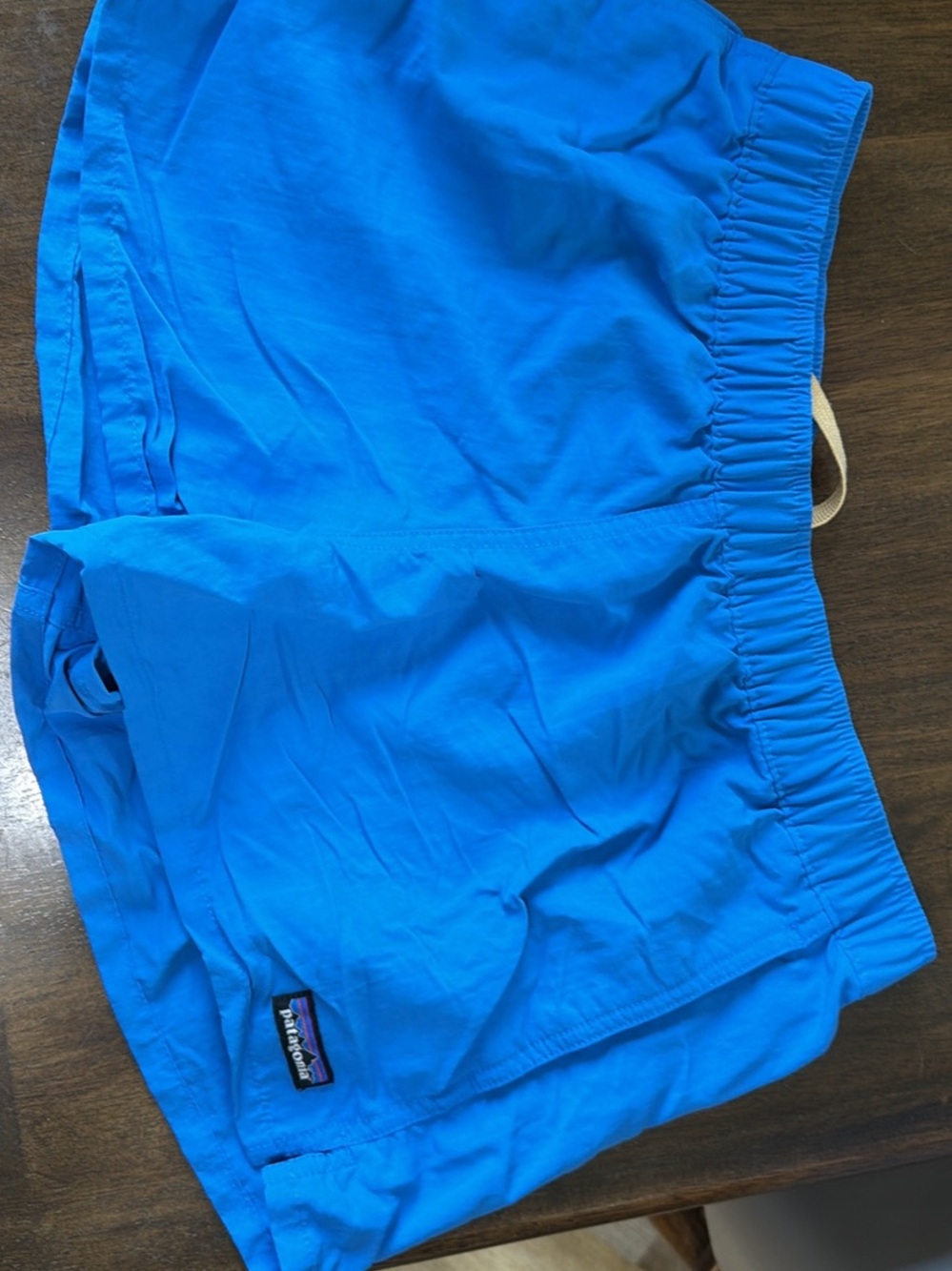 Patagonia Bright Blue Active Shorts